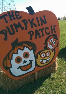 Pumpkin Patch