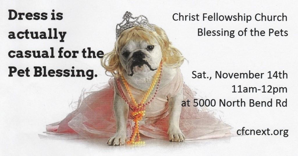 Cincy blessing of pets flyer