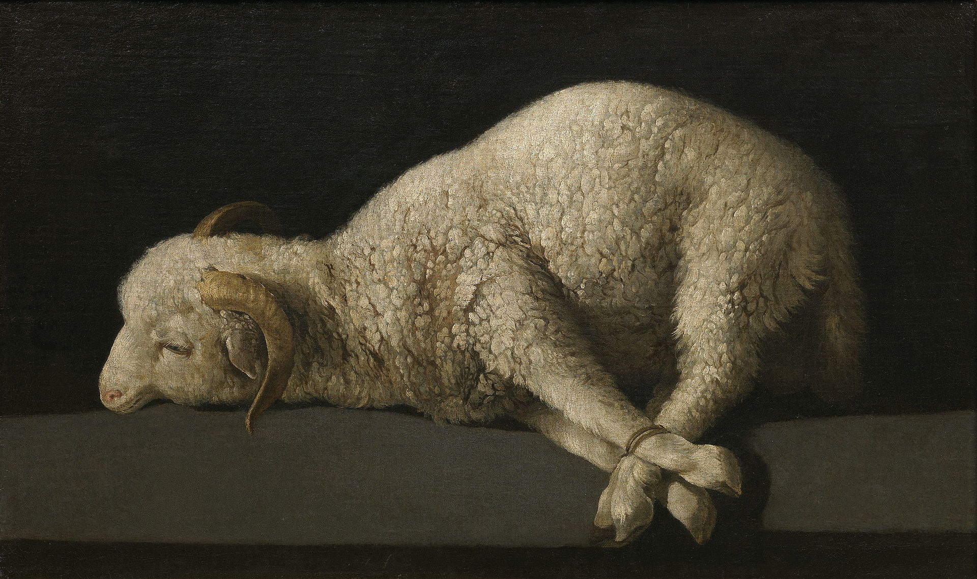 Lamb of God by Zurbaran pubic domain via Wikimedia Common s
