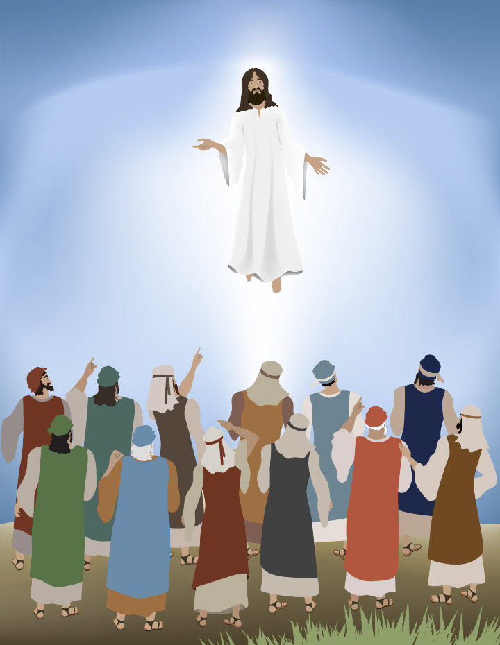 Jesus Lifted Up Jesus Ascension Heaven Children Bible Apostles Sunday 